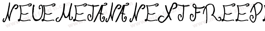 NeueMetanaNextFreePersonal Sm字体转换